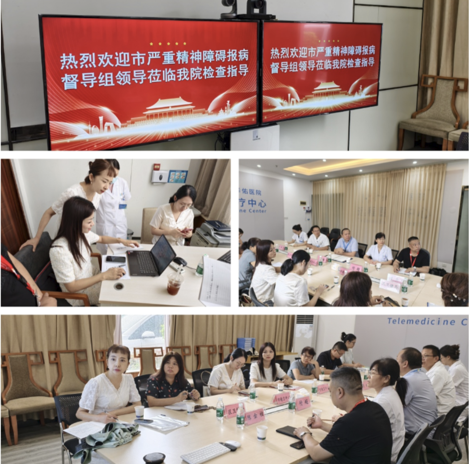 市严重精神障碍报病督导组领导莅临我院检查指导