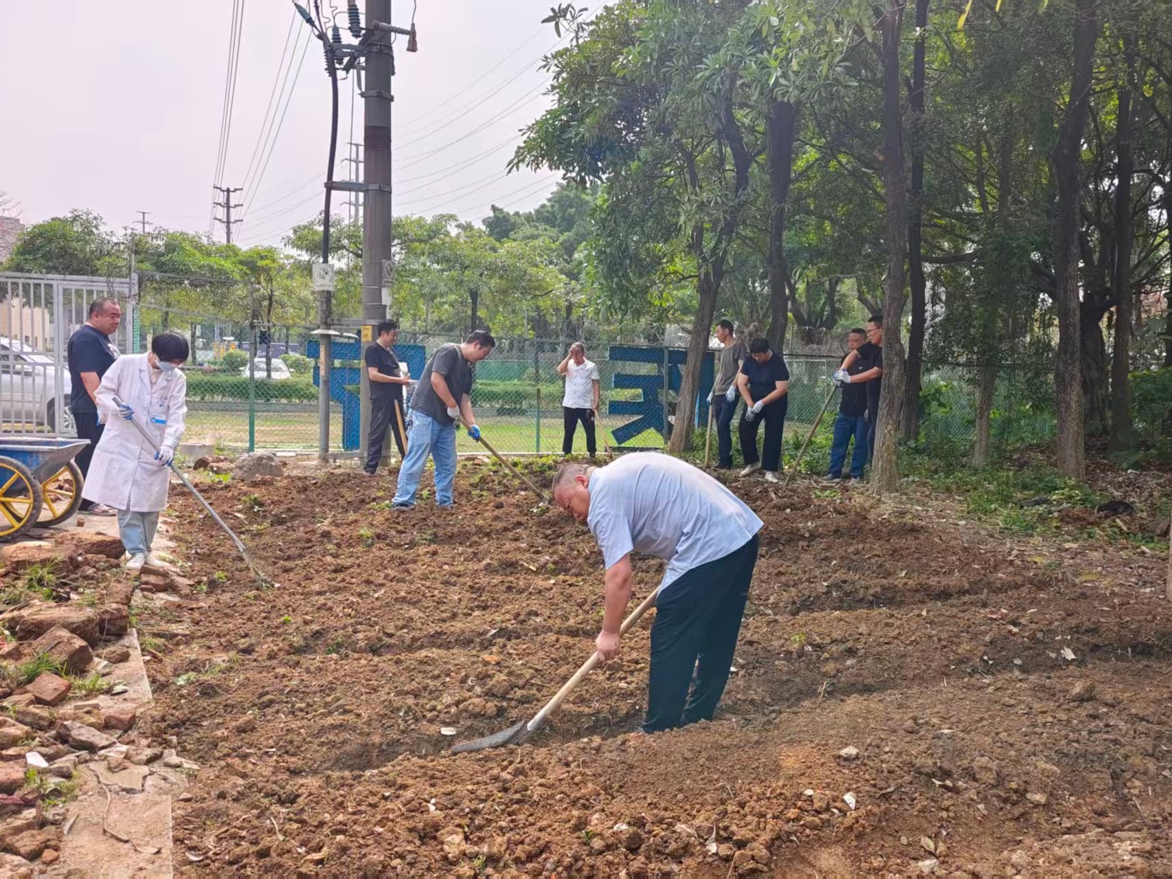 躬耕启新章，农疗润心田 —— 广州华佑医院农疗场地开荒纪实